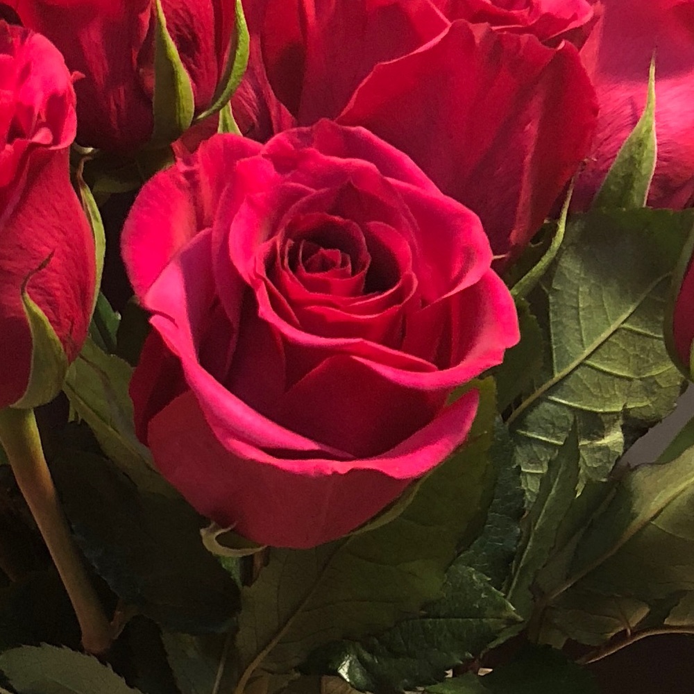 Meet your Posher, Malorie